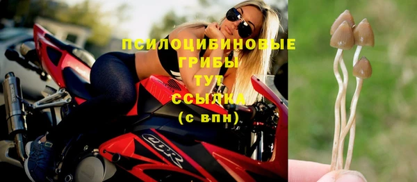 мет Карпинск