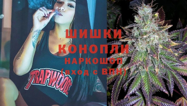 мет Карпинск