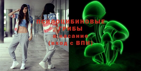 мет Карпинск