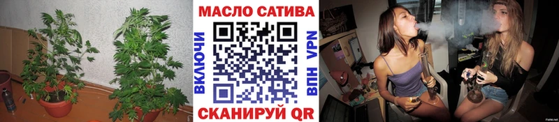 Дистиллят ТГК вейп с тгк  наркошоп  Тайга 
