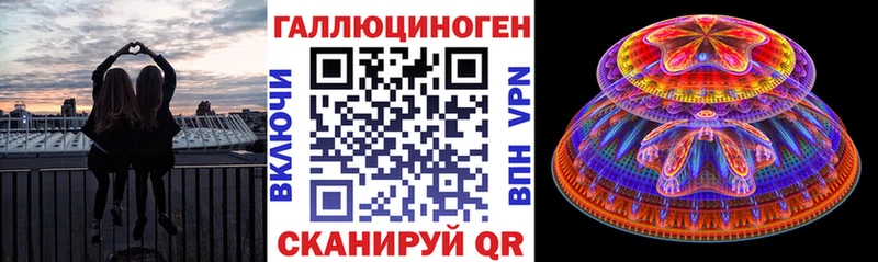 Галлюциногенные грибы Psilocybe Тайга